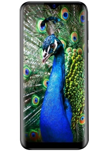 Reeder P13 Blue