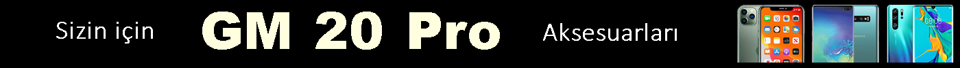 GM 20 Pro GM 20 Pro