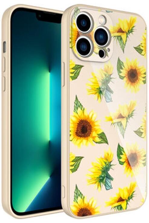 Apple iPhone 12 Pro Max Kılıf Kamera Korumalı Renkli Tasarım Kadife İç Yüzey Silikon