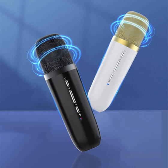 Wiwu P18 Thunder Bluetooth Speaker Hoparlör ve Karaoke Bluetooth Çift Mikrofon 12000 MAH IPX4 Siyah